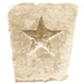 The Wittliff Collections
